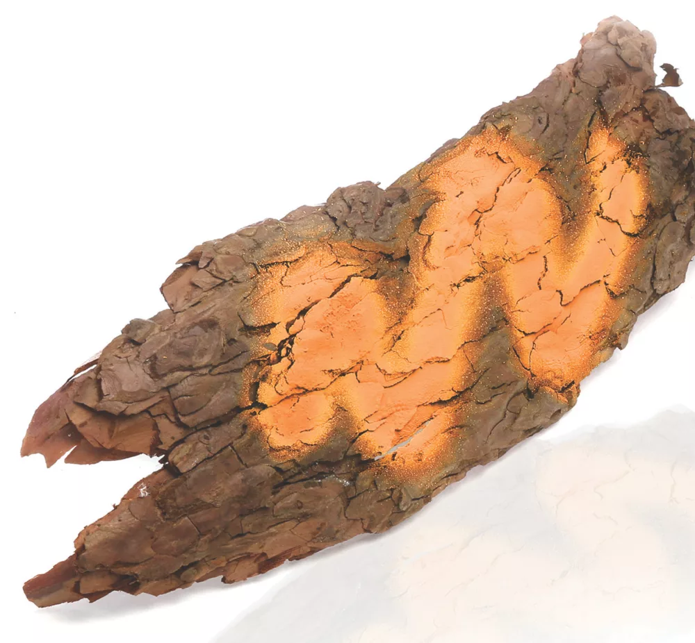 Oregon Forestry Marker Spray Fluorescent Orange 500ml 2 Oregon Forestry Marker Spray Fluorescent Orange 500ml - Image 2