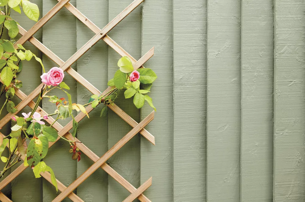 Ronseal Fence Life Plus Shed & Fence Treatment Sage 9Ltr 5 Ronseal Fence Life Plus Shed & Fence Treatment Sage 9Ltr - Image 5